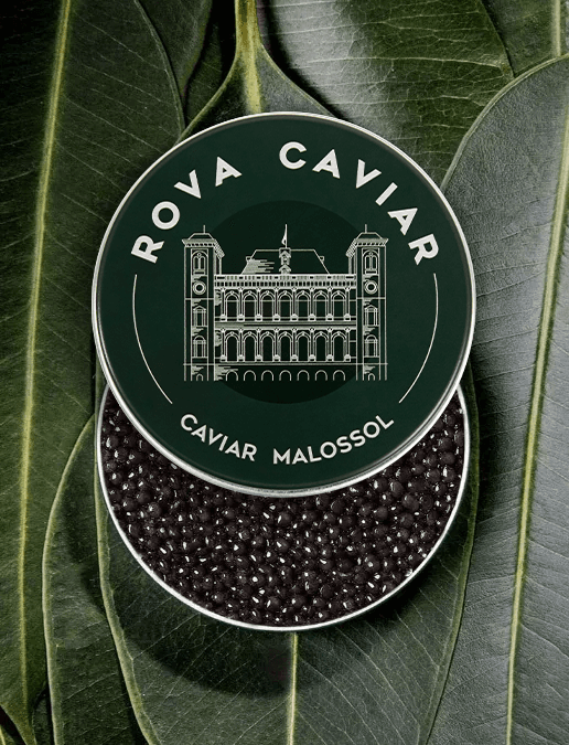 Caviar Baeri