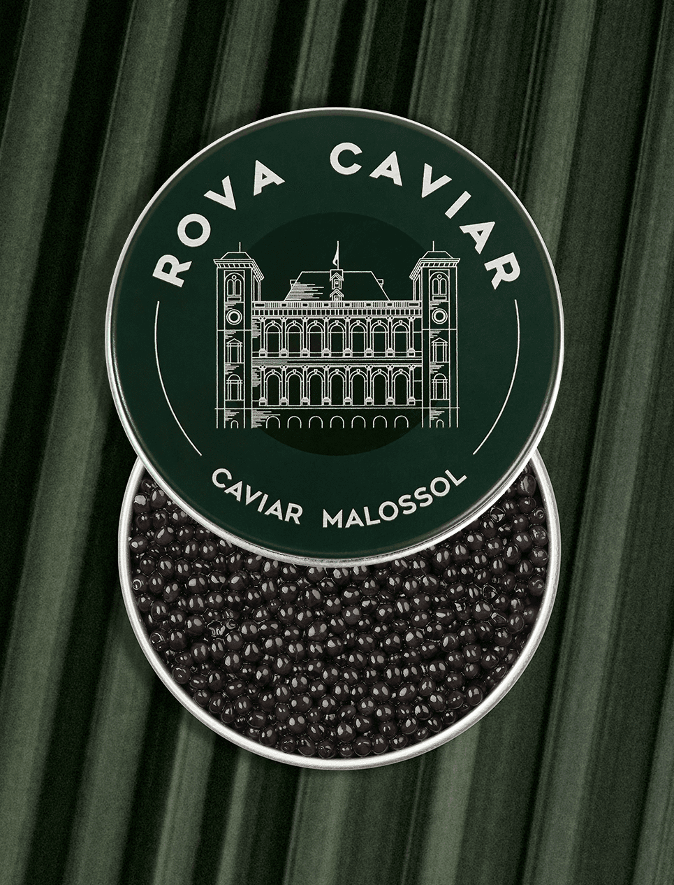 Caviar Persicus